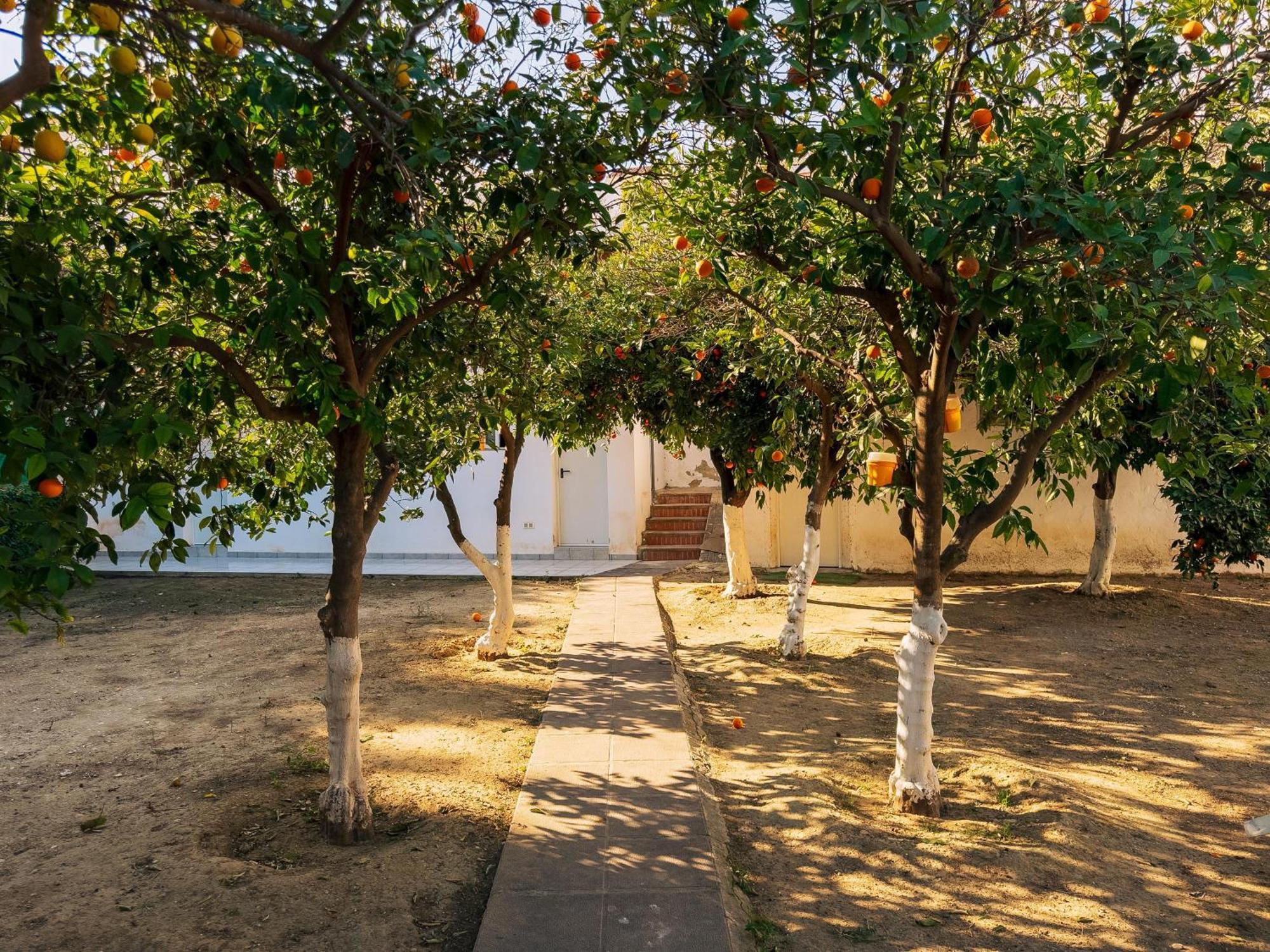 Charming Country House Torremolinos Eksteriør bilde